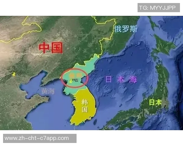 德国与俄罗斯的历史交锋与未来展望探讨